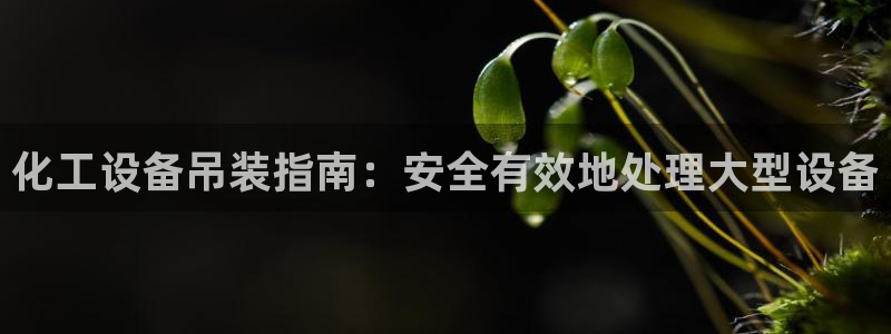 新航娱乐公司扣费流程详解视频下载