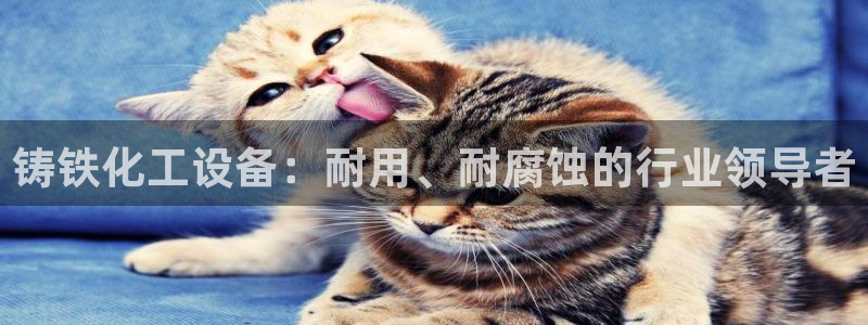 新航娱乐公司扣费流程详解图片