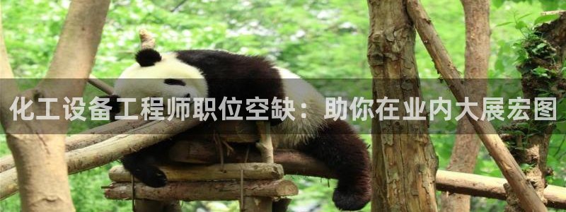 新航娱乐APP的最新版本更新内容