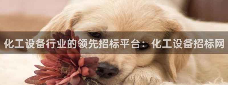 新航娱乐有限公司最新活动信息