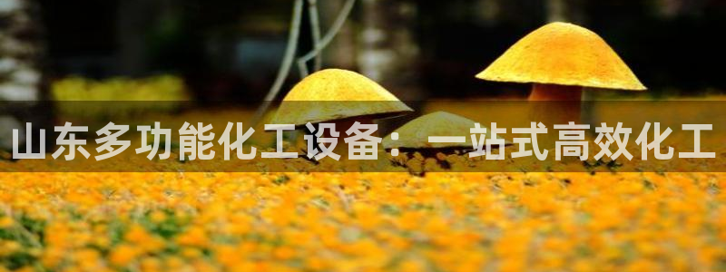 新航娱乐的创始人背景是谁