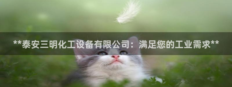 新航娱乐挂机.直开.中国(官方下载)