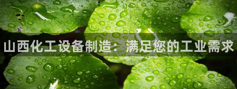 新航娱乐公司扣费流程详解图片