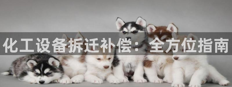 新航娱乐背后的老板是谁
