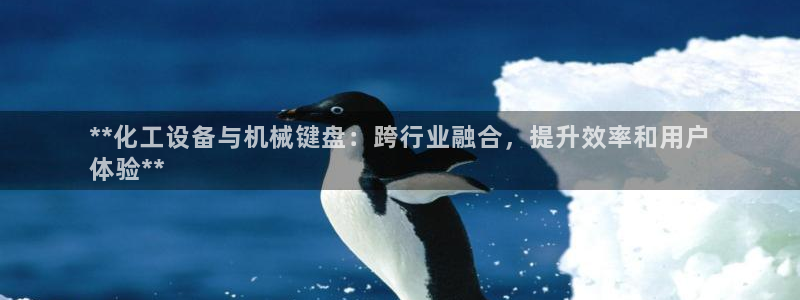 新航娱乐的员工工资福利及待遇怎么样