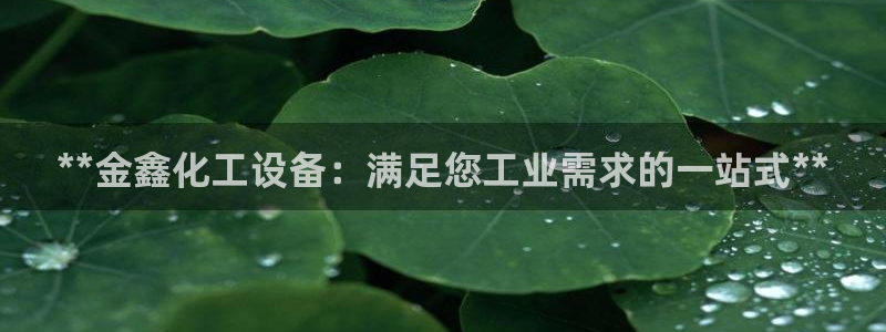 新航娱乐总代理是谁