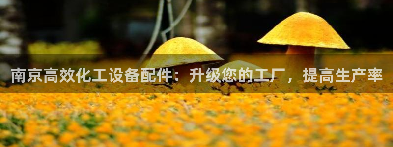 新航娱乐的员工工资福利及待遇