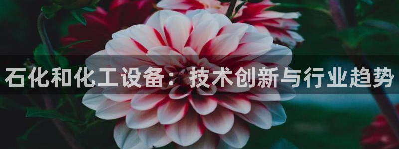 新航娱乐账号注册和账号详情
