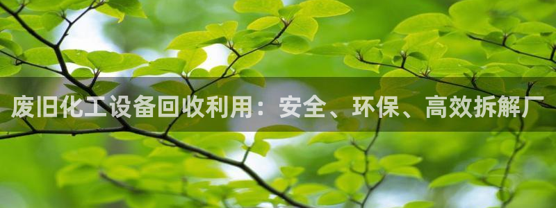新航娱乐公司扣费流程详解图片