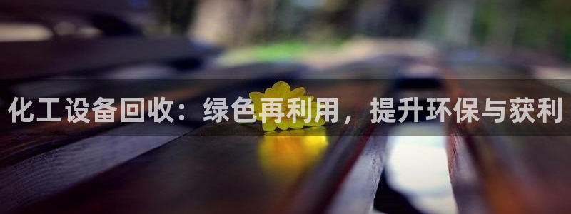 新航娱乐的员工工资福利及待遇