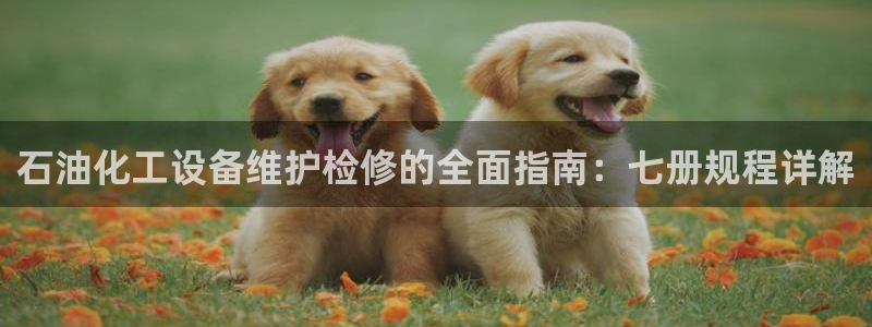新航娱乐公司扣费流程详解图表