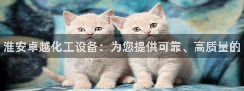 新航娱乐的员工工资福利及待遇怎么样