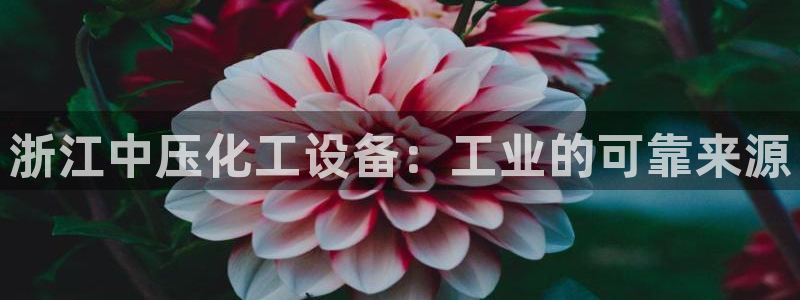 新航娱乐的创始人简介图片