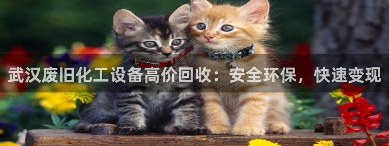 新航娱乐app最新版本更新内容是什么呢