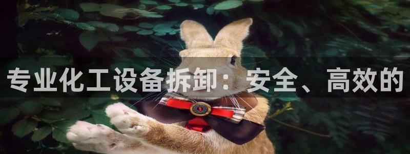 新航娱乐招商碰回复 485624 多少钱