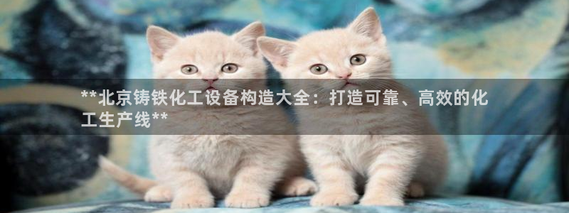 新航娱乐有限公司最新活动信息