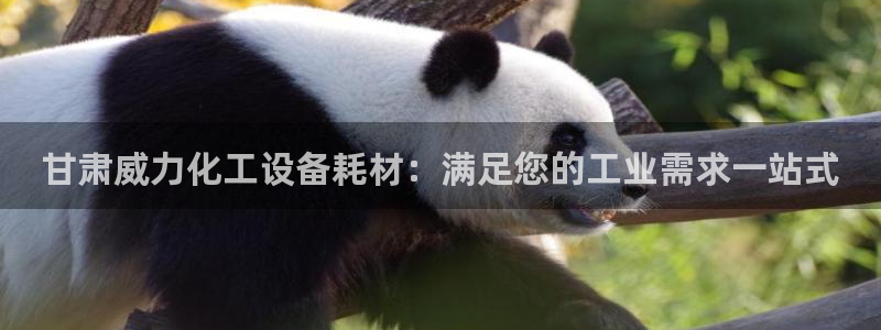 新航娱乐倒闭了吗知乎全文