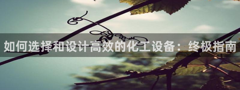 新航娱乐的股东名单和背景介绍是什么