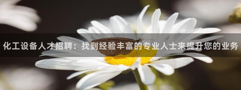 新航娱乐公司扣费流程详解表