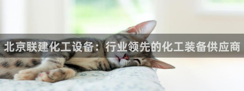 新航娱乐app手机版官网