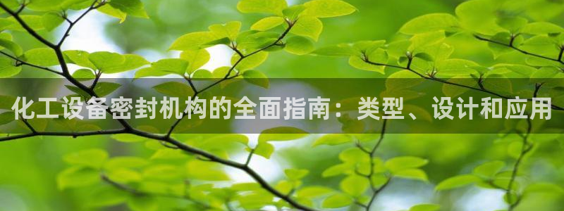 新航娱乐公司扣费流程详解：化工设备密封机构的全面指