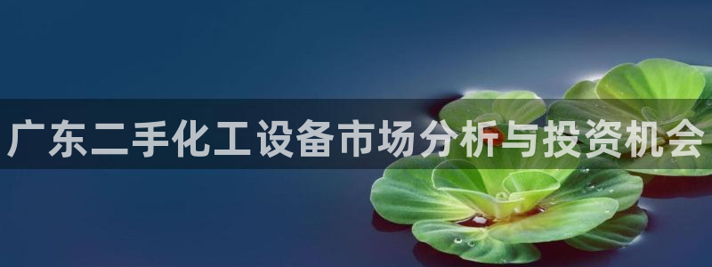 新航娱乐app官方免费下载安卓：广东二手化工设备市场分析与投