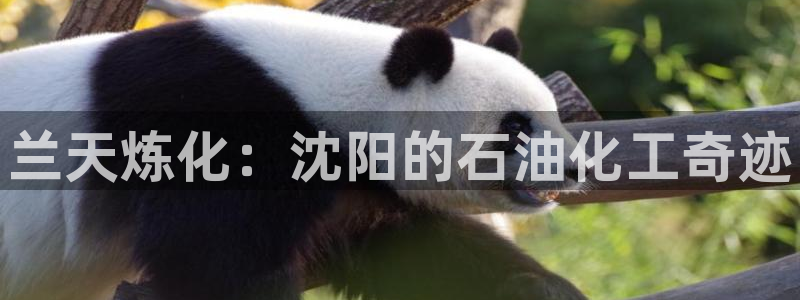 新航娱乐到.3.3.4.8.2新航娱乐.可以吗.长久.中国